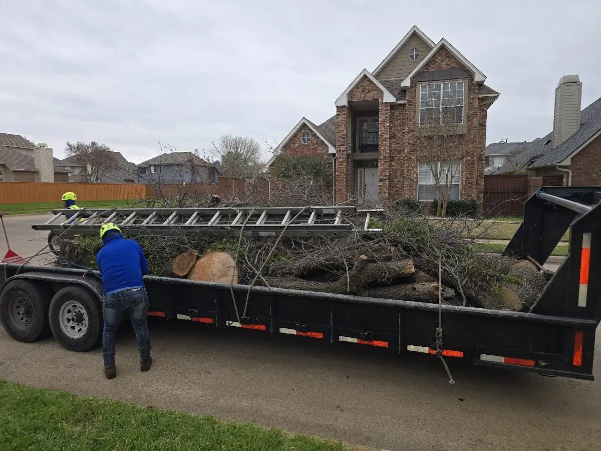 Expert Lot Clearing with proper safety equipment in Beach Haven